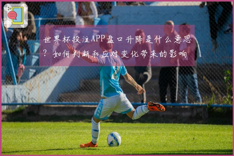 世界杯投注APP盘口升降是什么意思？如何判断和应对变化带来的影响？