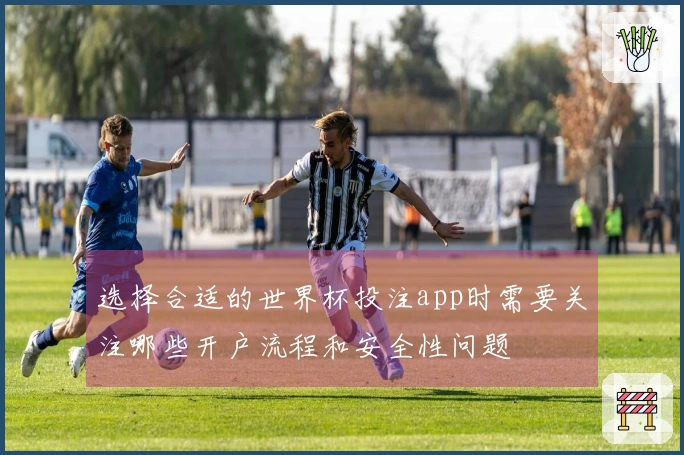 选择合适的世界杯投注app时需要关注哪些开户流程和安全性问题