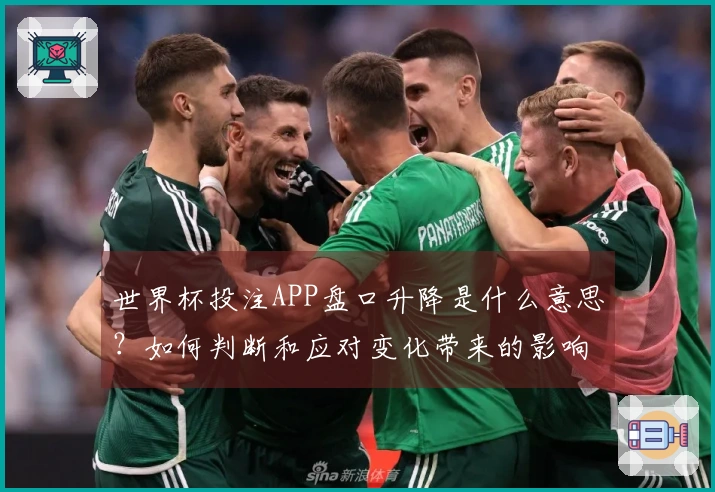 世界杯投注APP盘口升降是什么意思？如何判断和应对变化带来的影响？